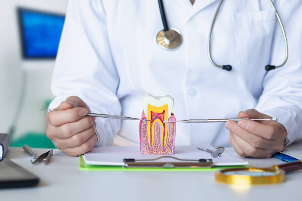 Best Tooth Pain Emergency Relief  in Nashville, TN